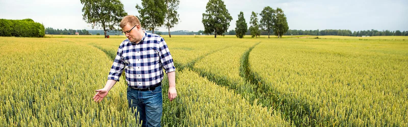 20170817 farm uusitalo 1484 semikirkas