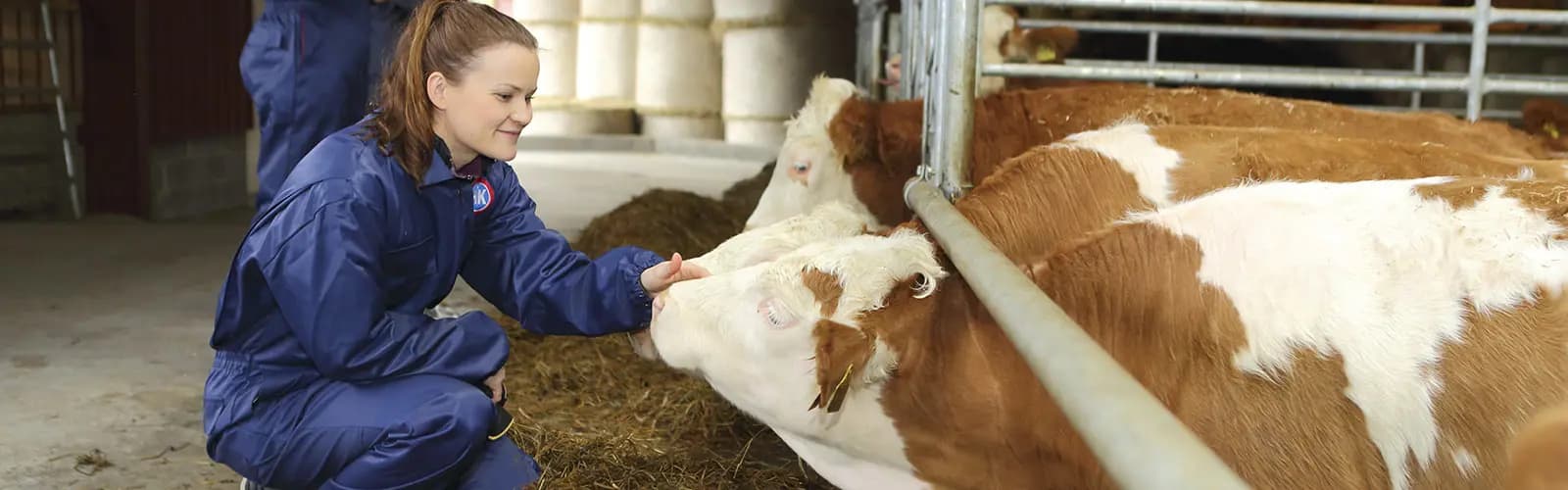 HKScan KATARIINA TASSO 58J7464