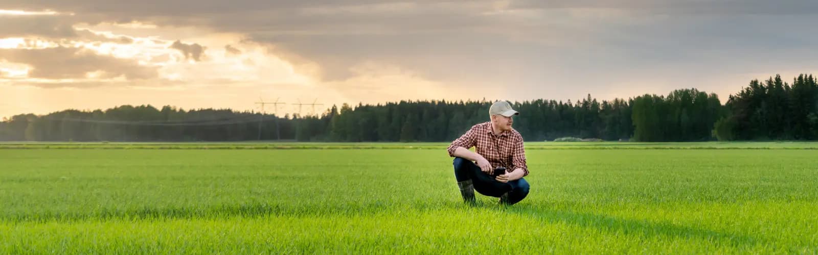 PauliinaPuputti 040620 HKScan 01 HeikkiPuputti