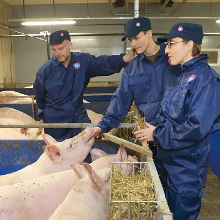 sikaheader800 kaurala2