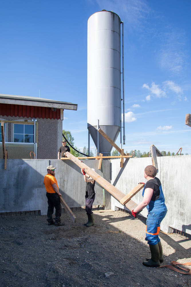 1-vasikkalakjarvi.jpg
